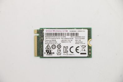 Lenovo 5SS0W76183, 256 GB, M.2