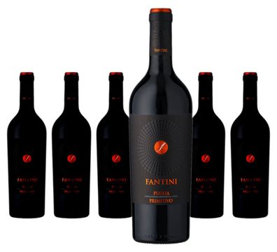 6 x Farnese Fantini Primitivo – 2025