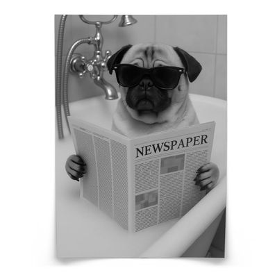 Muralo Poster für Badezimmer WC MOPS in Badewanne Zeitung Abstraktion