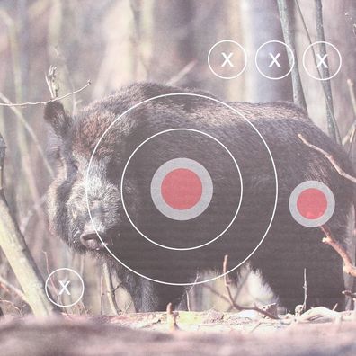 Landmann Zielscheiben 31x31cm, "Wildschwein", 25 Stück