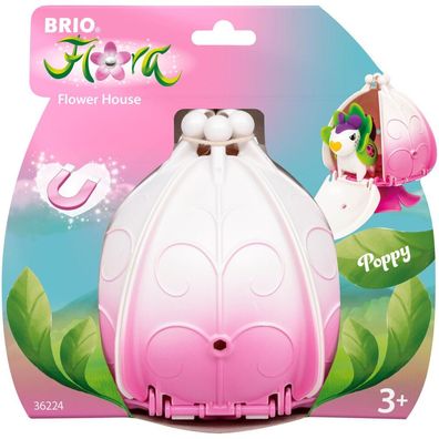 Brio Flora - Poppys Blumenhaus