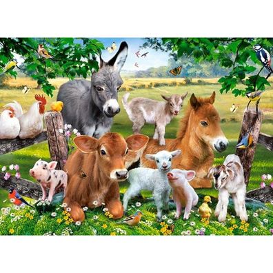 Castorland Puzzle Auf dem Bauernhof 100 Teile