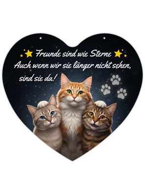 Herz Blechschild Freunde sind wie Sterne HB026