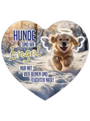 Herz Blechschild Hunde sind wie Engel HB028