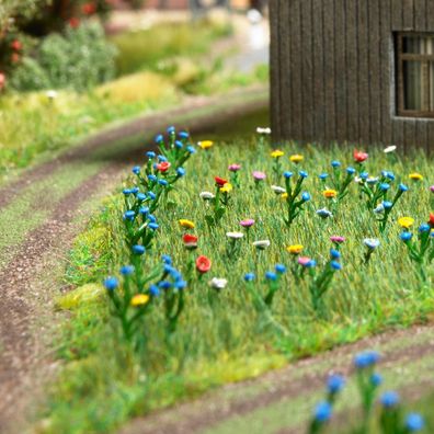 Sommerwiese