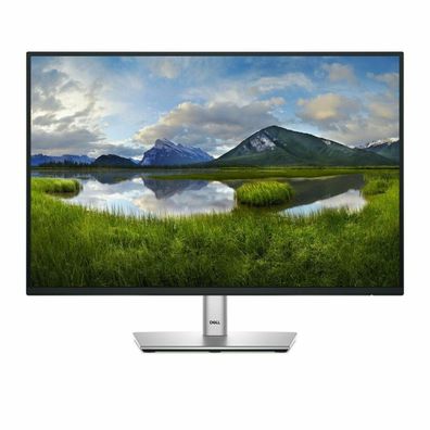 Dell P2425E