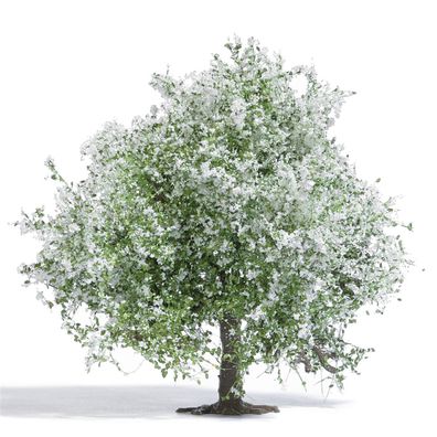 Busch H0 3651 Apfelbaum 75 mm, blühend -NEU