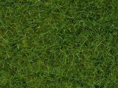 Noch G,1,0, 0, 0M, 0E, T, , 7102 Wildgras hellgrün, 6 mm, 50 g
