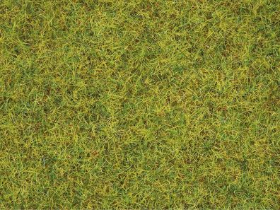Noch G,1,0, 0, 0M, 0E, T, , 8310 Streugras “Sommerwiese” 2,5 mm, 20 g