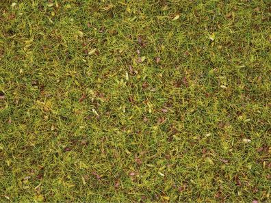 Noch G,1,0, 0, 0M, 0E, T, , 8330 Streugras “Blumenwiese” 2,5 mm, 20 g