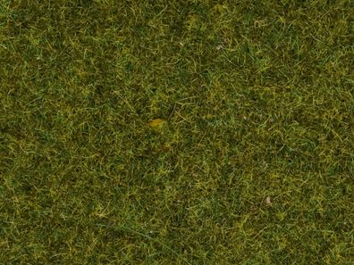 Noch 0, 0, T, , 8361 Streugras "Wiese" 4 mm, 20 g