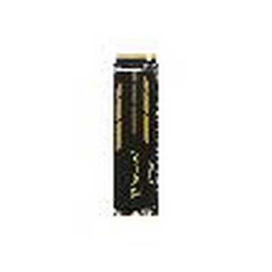 Transcend - TS250GMTE245S - Festplatte