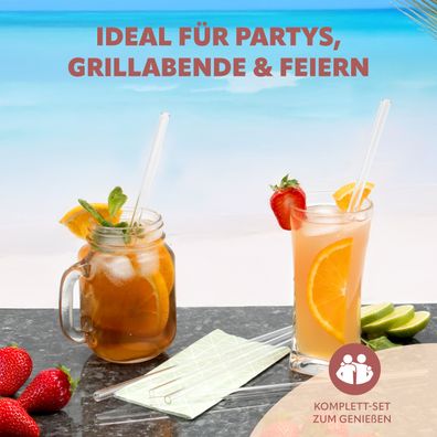 bremermann Strohhalm, Glas-Trinkhalm Set + Bürsten, transparent gerade