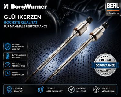 2 Borgwarner (BERU) Glühkerze (PSG006) passend für Astra Mk VI (J) OPEL Cascada Insig