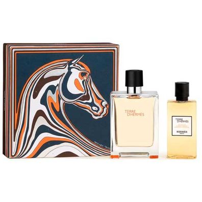Herms Terre D' erms Eau de Toilette Etui 100 ml + Geschenk