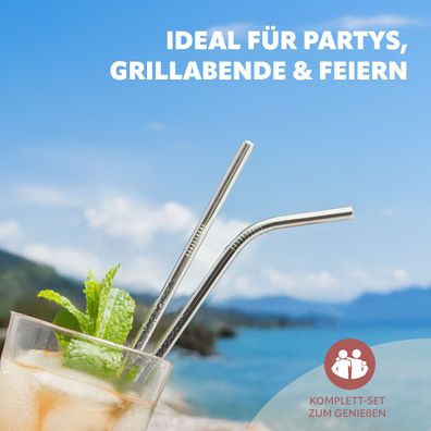 bremermann Edelstahl Trinkhalm Set + Bürsten
