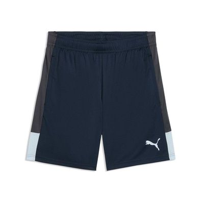 Puma Sportshorts IndividualLIGA Training Shorts 660574
