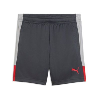 Puma Kinder Sportshorts IndividualLIGA Training Shorts JR 660575