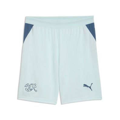 Puma Sportshorts Sfv Shorts Replica 783233