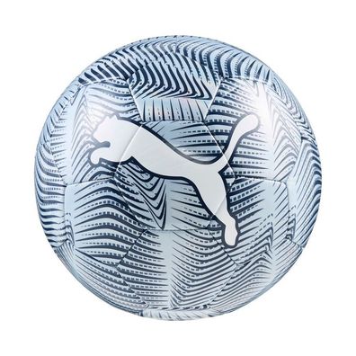 Puma Fußball Final Graphic Ball 84949