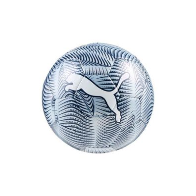 Puma Fußball Final Graphic Miniball 84951