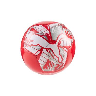 Puma Fußball Big Cat Miniball 84939