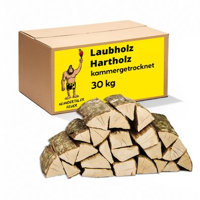 Brennholz Laubholz Kaminholz Grillholz Hartholz Feuerholz Holz für Kamin