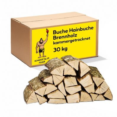 Brennholz Buchenholz Kaminholz Grillholz Hartholz Buche Feuerholz Holz für Kamin