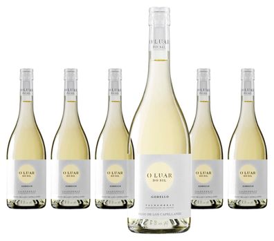 6 x Pago de Los Capellanes O Luar do Sil Godello – 2025