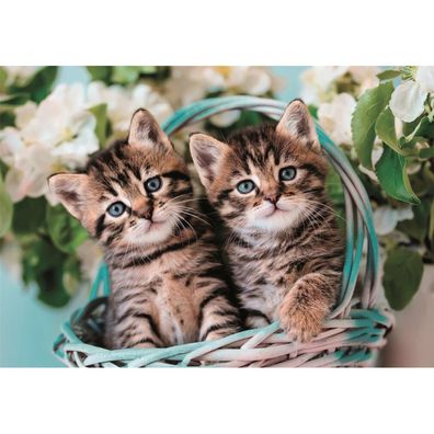 Clementoni Puzzle Zwillingsbabys 60 Teile