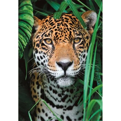 Clementoni Puzzle Jaguar im Dschungel 500 Teile