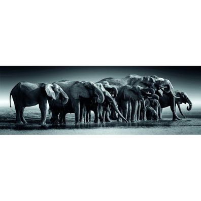 Hochwertige Riesenherde Panorama-Puzzle 1000Stück