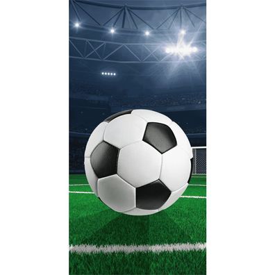 Jerry Fabrics Fußballstadion Handtuch 70x140 cm