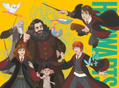 Der junge Zauberer Harry Potter