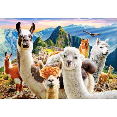 Castorland Llama Selfie Puzzle 200 Teile