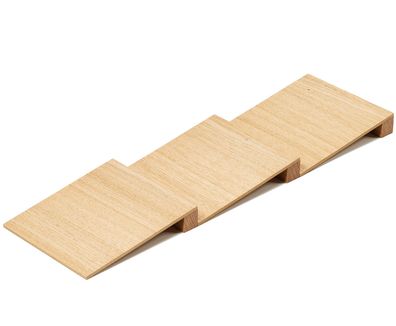 Funktionseinsatz Gewürzablage 14x3x47cm Besteckeinsatz FineLine Eiche hell Küche
