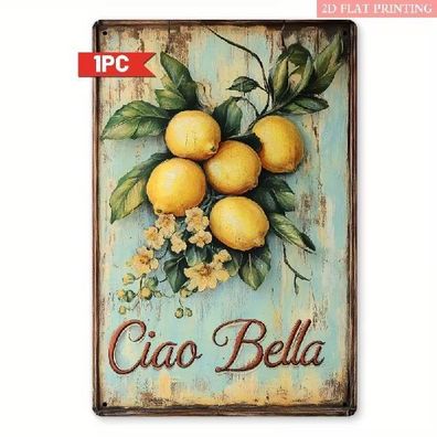 Blechschild Ciao Bella Lemon Zitronen Vintage Metallschild TEL5177