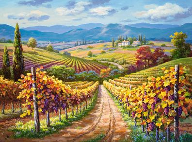 Weinberge