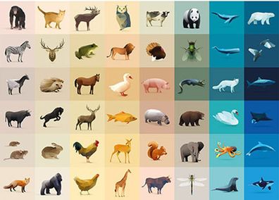 Fauna