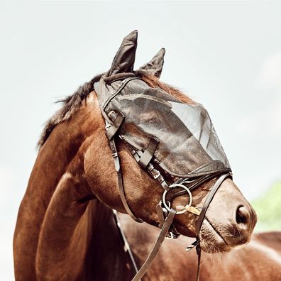 Horse Guard Fliegenmaske für Trensen, schwarz