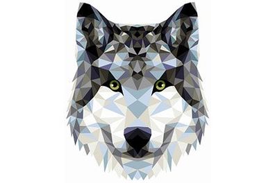 Polygon Wolf