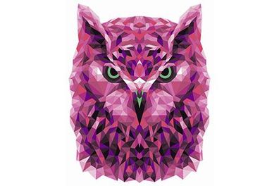 Polygon Eule