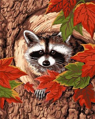 Waschbär