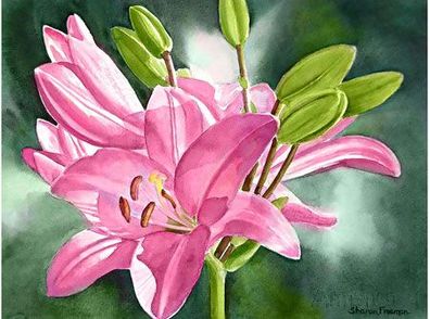 Lilly