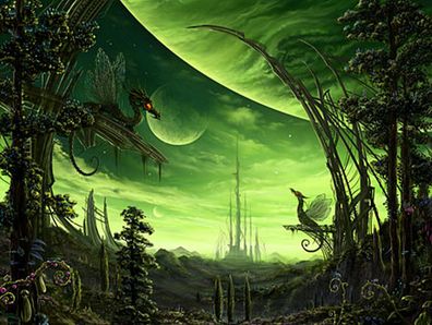 Drachenlibellen