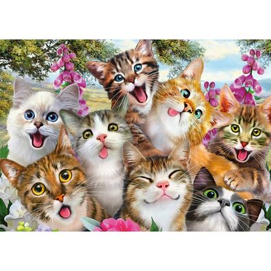 Schmidt Spiele Schmidt Spiele Puzzle: Katzen Selfie 500 Teile