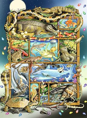 Reptilien im Regal