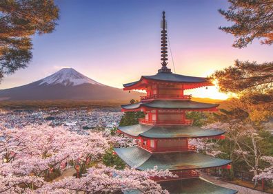 Kirschblüte in Japan