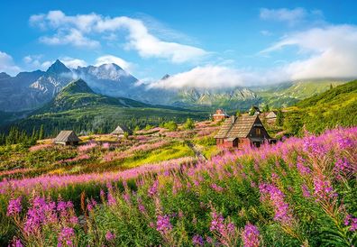 Hala Gą ienicowa, Tatra, Polen