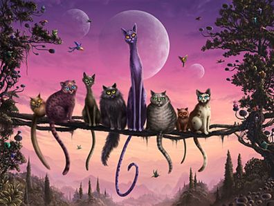 Cats in Heaven